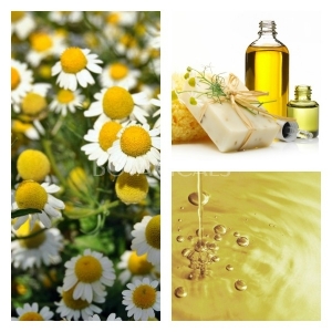 Aceite de Manzanilla Azul