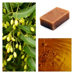 Aceite de Neem Virgen