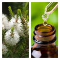 Aceite Esencial de Árbol de Té