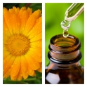 Aceite Esencial de Caléndula
