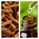 Aceite Esencial de Canela Corteza