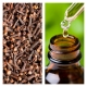 Aceite Esencial de Clavo
