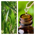 Aceite Esencial de Eucalipto BIO