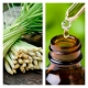 Aceite Esencial de Lemongrass