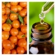 Aceite Esencial de Mandarina