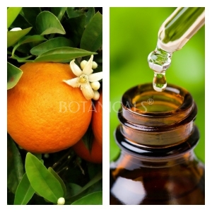 Aceite Esencial de Naranja Dulce (30ml)