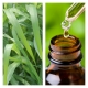 Aceite Esencial de Palmarosa BIO