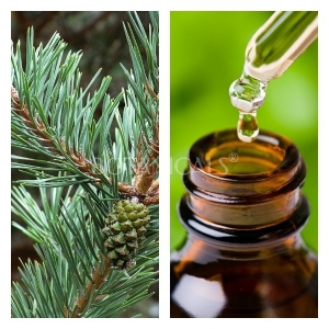 Aceite Esencial de Pino