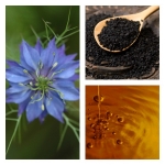 Aceite de Nigella Sativa BIO