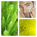 Aceite de Cola de Caballo