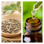 Aceite Esencial de Semillas de Zanahoria