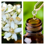 Aceite Esencial de Neroli (Absoluto Diluido)