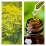Aceite Esencial de Hinojo Dulce