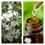Aceite Esencial de Jazmín (Absoluto Diluido)