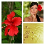 Aceite de Hibiscus
