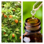 Aceite Esencial de Petitgrain Bigarade
