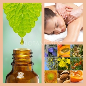 Aceite Masaje Base Almendras Dulces