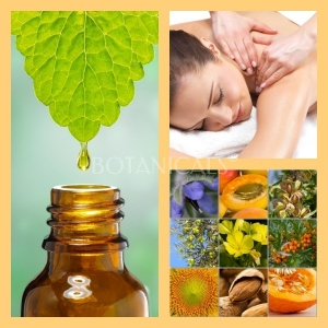 Aceite Masaje Base Argán