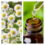 Aceite Esencial de Manzanilla 