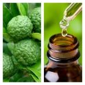 Aceite Esencial de Lima 
