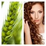 Queratina Vegetal (Proteina de Trigo)