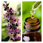 Aceite Esencial de Tulsi 