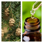 Aceite Esencial de Tuya