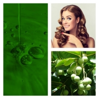 Aceite de Tamanu ó Calófilo BIO