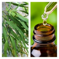Aceite Esencial de Eucalipto Citriodora