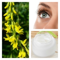 Extracto de Meliloto BIO