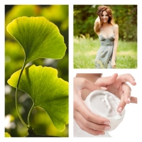 Extracto de Ginkgo Biloba BIO