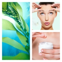 Extracto de Alga Alaria Esculenta