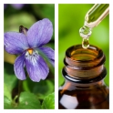 Aceite Esencial de Violeta (Absoluto Diluido)
