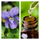 Aceite Esencial de Violeta (Absoluto Diluido)