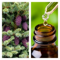 Aceite Esencial de Picea Negra (Abeto negro)