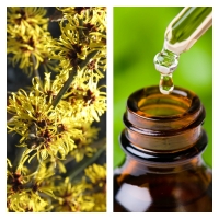 Aceite Esencial de Hamamelis