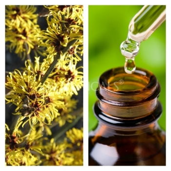 Aceite Esencial de Hamamelis