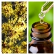 Aceite Esencial de Hamamelis
