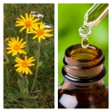Aceite Esencial de Arnica