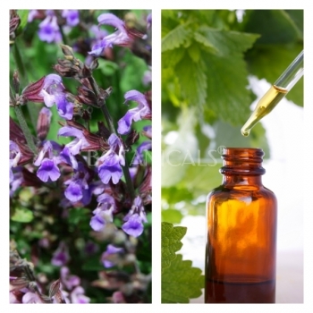 Extracto de Salvia BIO