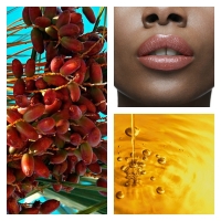 Aceite de Dátil del Desierto BIO