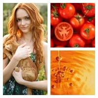 Aceite de Tomate (Semillas) BIO