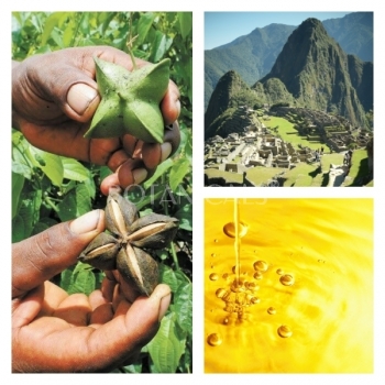 Aceite de Sacha Inchi BIO