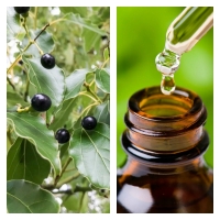 Aceite Esencial de Ravintsara