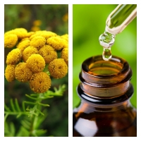 Aceite Esencial de Tanaceto BIO (Hierba Lombriguera)