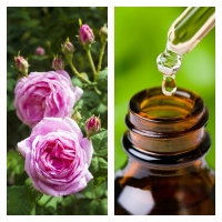 Aceite Esencial de Rosa Provence
