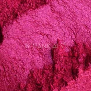 12 Rosa Geranio Azteca, Mica