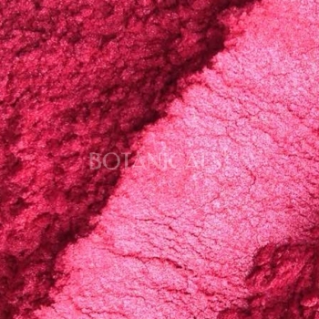 15 Rosa Petunia Azteca, Mica