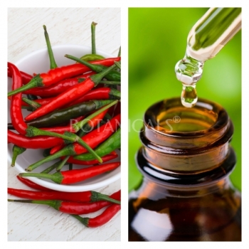Aceite Esencial de Capsicum
