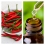 Aceite Esencial de Capsicum